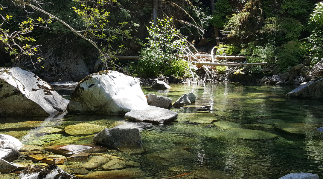 Flowing creek at the China Creek Campground Flowing creek at the China Creek Campground