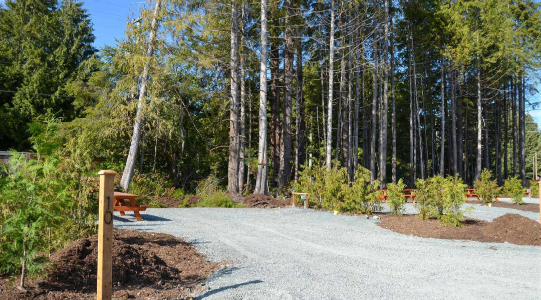 Deluxe Standard Site at Tsawaak RV Resort and Campground