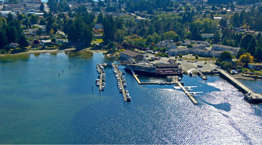 Birds eye view of The Spot at Porpoise Bay Birds eye view of The Spot at Porpoise Bay