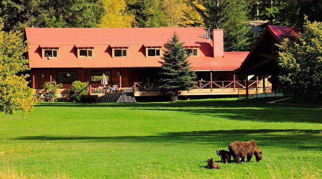 The exterior building of the Tweedsmuir Park Lodge with grizzly bears nearby in Bella Coola