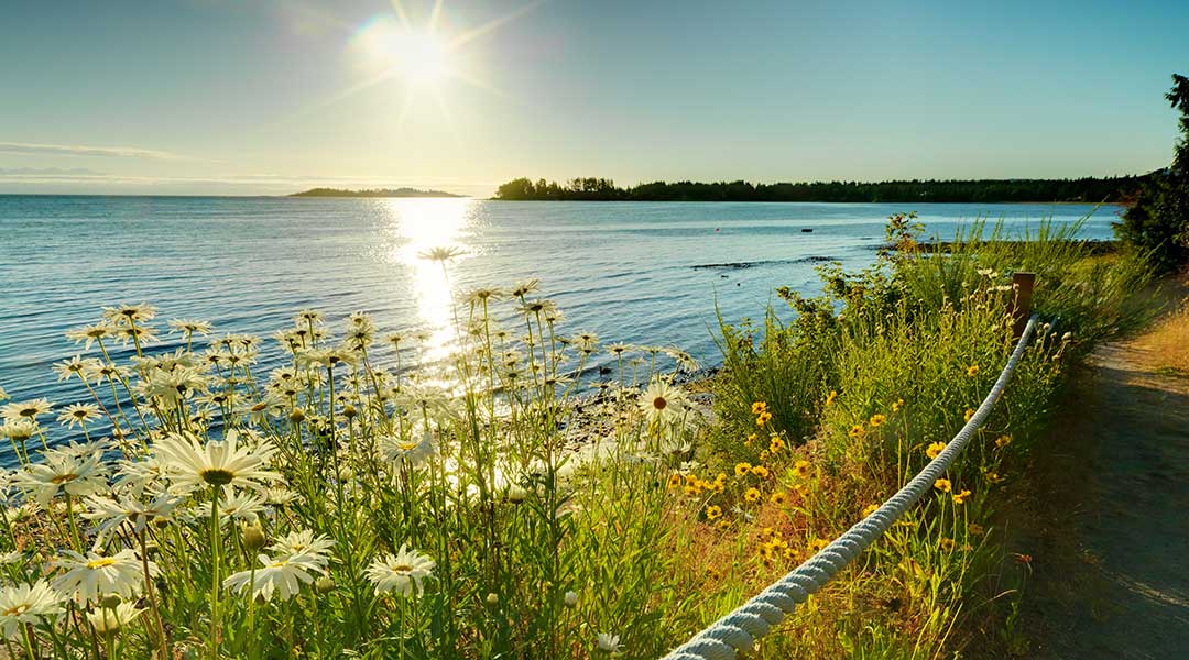 Path alongside beach with wildflowers and ocean beside at Sunrise Ridge Waterfront Resort in Parksville
