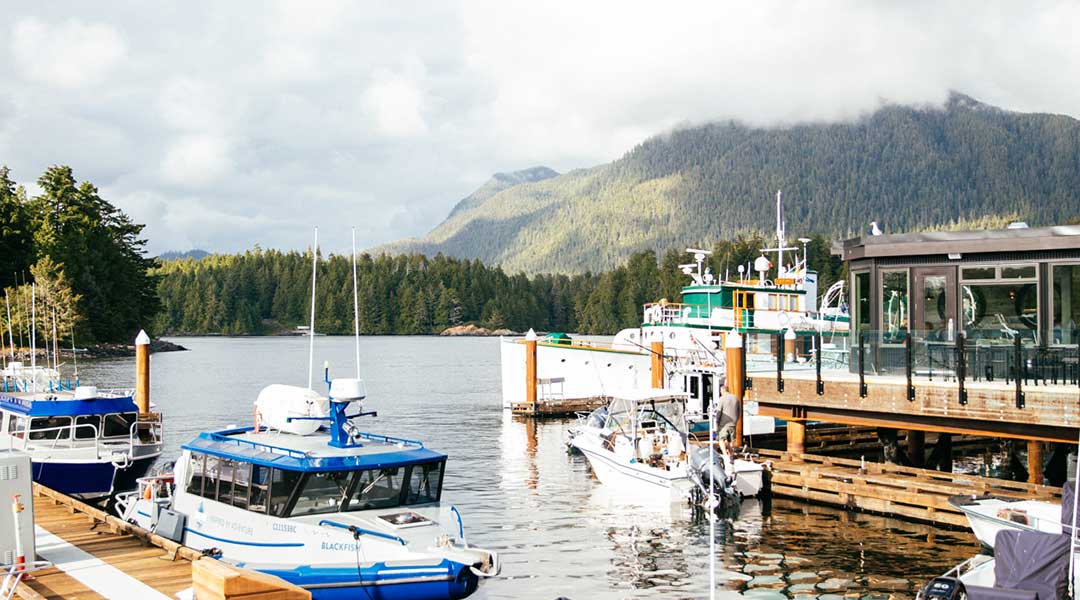 Marina with boats and dock at Tofino Resort and Marina on Vancouver Island Marina with boats and dock at Tofino Resort and Marina on Vancouver Island